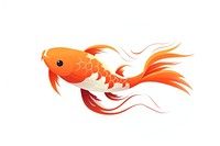 Koi fish goldfish animal koi.