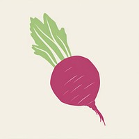 Illustration of a simple beetroot vegetable radish plant.