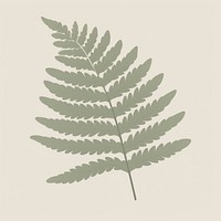 Illustration of a simple fern leaf plant pattern nature.