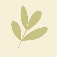 Illustration of a simple olive leaf plant astragalus blossom.