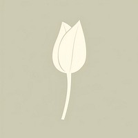 Illustration of a simple tulip flower plant petal leaf.