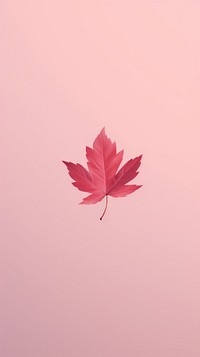  Sakura leaf plant tree pink. AI generated Image by rawpixel.