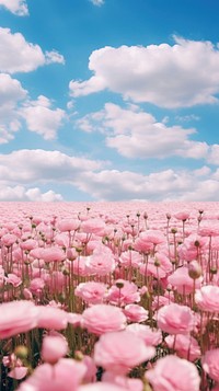  Field of rose sky backgrounds outdoors. AI generated Image by rawpixel.