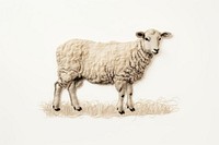 Sheep in embroidery style livestock animal mammal.