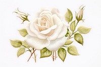 White rose in embroidery style pattern textile flower.