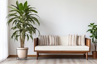 Dracaena fragrans on the center architecture furniture cushion.