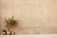 PNG Mediterranean wall architecture backgrounds plant. AI generated Image by rawpixel.