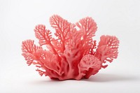 Coral nature plant white background. AI generated Image by rawpixel.