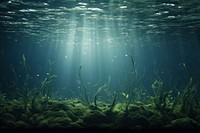Undersea underwater outdoors nature. AI generated Image by rawpixel.