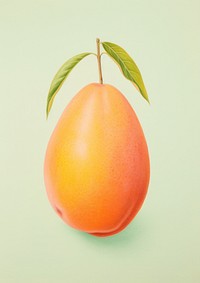 Mango fruit plant food. 