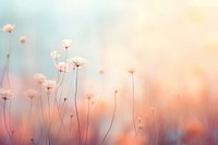  Soft color backgrounds outdoors nature. AI generated Image by rawpixel.