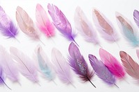 Glitter backgrounds feather purple.