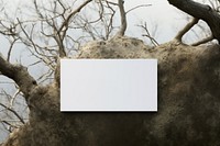 Business card outdoors branch nature. AI generated Image by rawpixel.