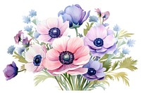 Colorful anemone flower bouquet blossom plant rose.