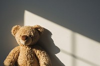 A teddy bear shadow wall toy.