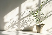 A plant pot wall architecture windowsill.