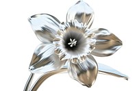 Flower daffodil silver plant.