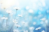  Blue boukeh backgrounds outdoors blossom. AI generated Image by rawpixel.
