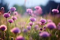  Nature flower field grassland. AI generated Image by rawpixel.