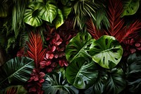  Nature backgrounds tropics plant. AI generated Image by rawpixel.