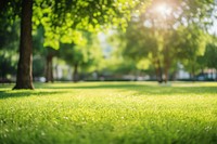  Nature tree lawn sunlight. AI generated Image by rawpixel.
