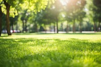  Nature tree lawn sunlight. AI generated Image by rawpixel.