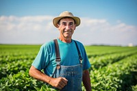 Soybean field agriculture gardening outdoors.