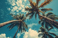 Tropical beach summer tree sky. AI generated Image by rawpixel.
