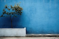  Blue wall architecture plant tree. AI generated Image by rawpixel.