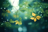  Leaves backgrounds sunlight outdoors. AI generated Image by rawpixel.