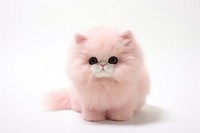  White background cute little cat no shadow mammal. AI generated Image by rawpixel.