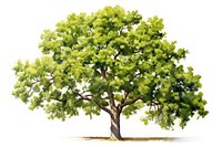 Oak tree plant green oak. AI generated Image by rawpixel.
