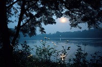 Romantic lake view lake at night nature moon.