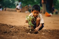 Laos kid planting outdoors nature.