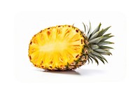 Pineapple slice fruit plant.