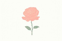 Pink rose drawing flower plant.
