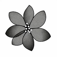 Jasmine flower pattern black art.