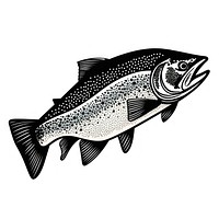Salmon animal trout black.