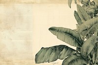Banana leaf border backgrounds plant paper.