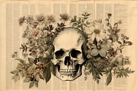 Skull border painting flower plant.