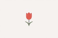 Tulip flower plant rose.