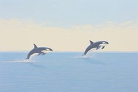 Orca whales dolphin animal mammal.