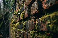 Brick wall with moss old architecture backgrounds. AI generated Image by rawpixel.