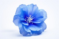  Blue flower blossom petal plant. AI generated Image by rawpixel.