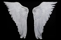 Angel wings frosted ice black background archangel feather.