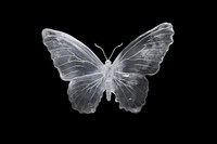 Butterfly frosted ice animal insect black.