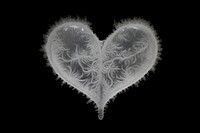 Frosted ice biology heart black background accessories chandelier.