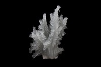 Frosted ice coral reefs mineral crystal quartz.