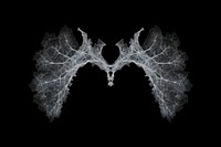 Frosted ice human lungs pattern black background accessories.