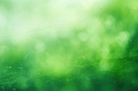 Blur natural green abstract Background backgrounds outdoors nature.